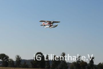 Fliegen Fliegen