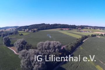 viele Maisfelder viele Maisfelder