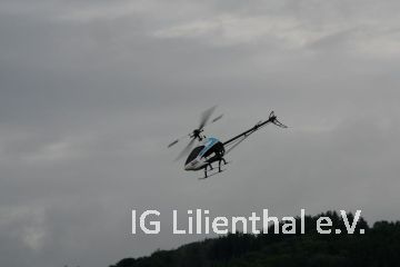 vor grauem Himmel vor grauem Himmel