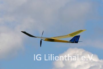 im Wettbewerb im Wettbewerb