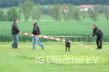 viel Wind viel Wind