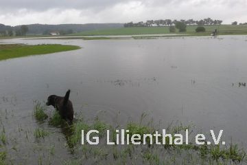 Pisten-Suchhund Pisten-Suchhund